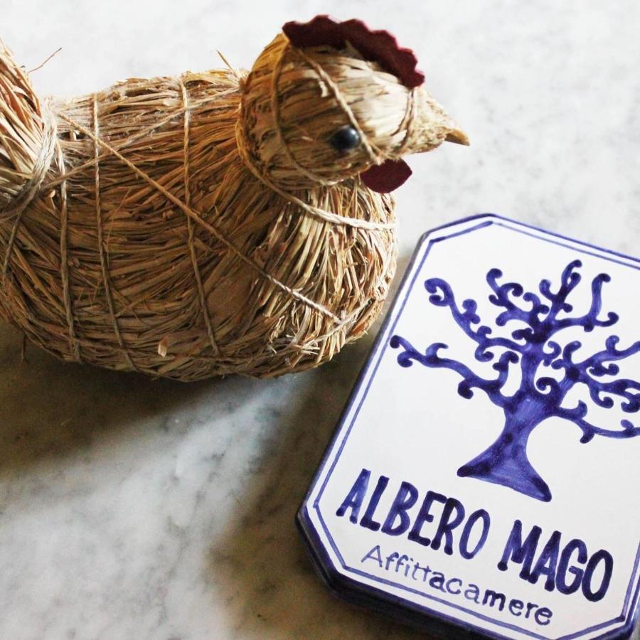 Albero Mago Affittacamere Firenze